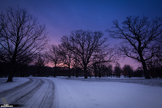 Cold Morning in Arboretum